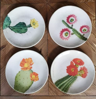 4 platos de porcelana con ilustraciones de varios tipos de cactus en flor